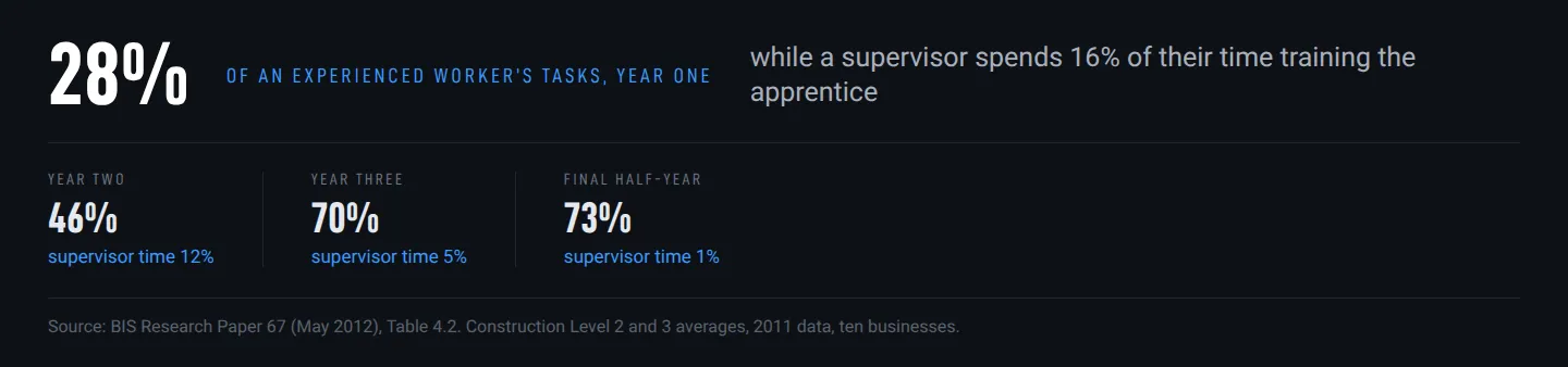 Chart: an apprentice undertakes 28% of an experienced worker’s tasks in year one, 46% in year two, 70% in year three and 73% in the final half-year, while supervisor training time falls from 16% to 12%, 5% and 1%